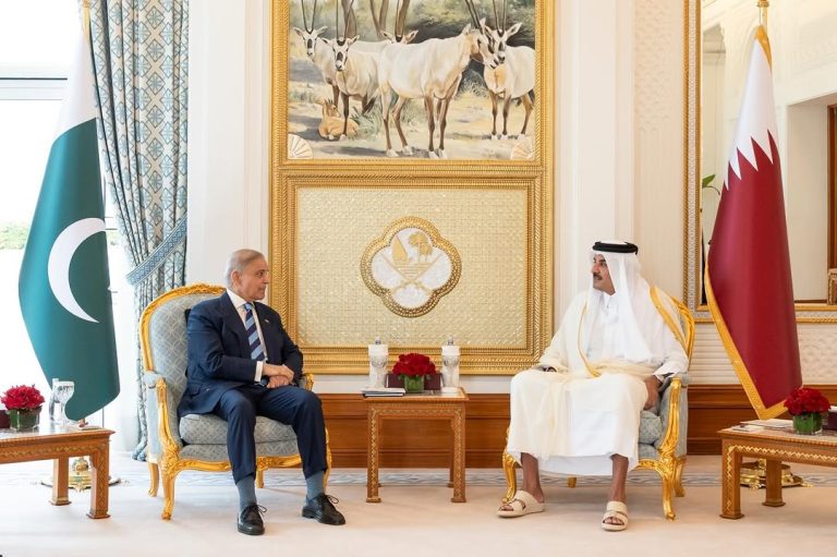 HH The Amir and Pakistani Prime Minister Discuss Regional, International Developments